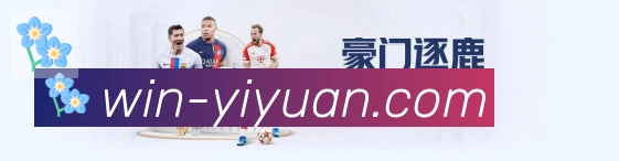 未来规划